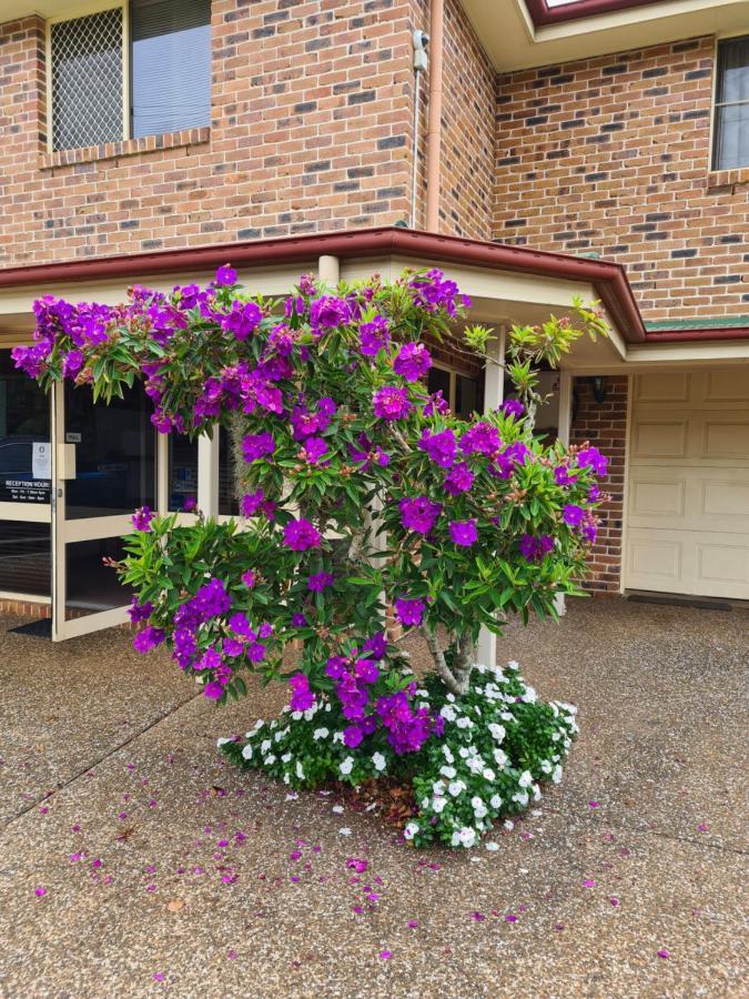 Country Gardens Motor Inn 투움바 외부 사진